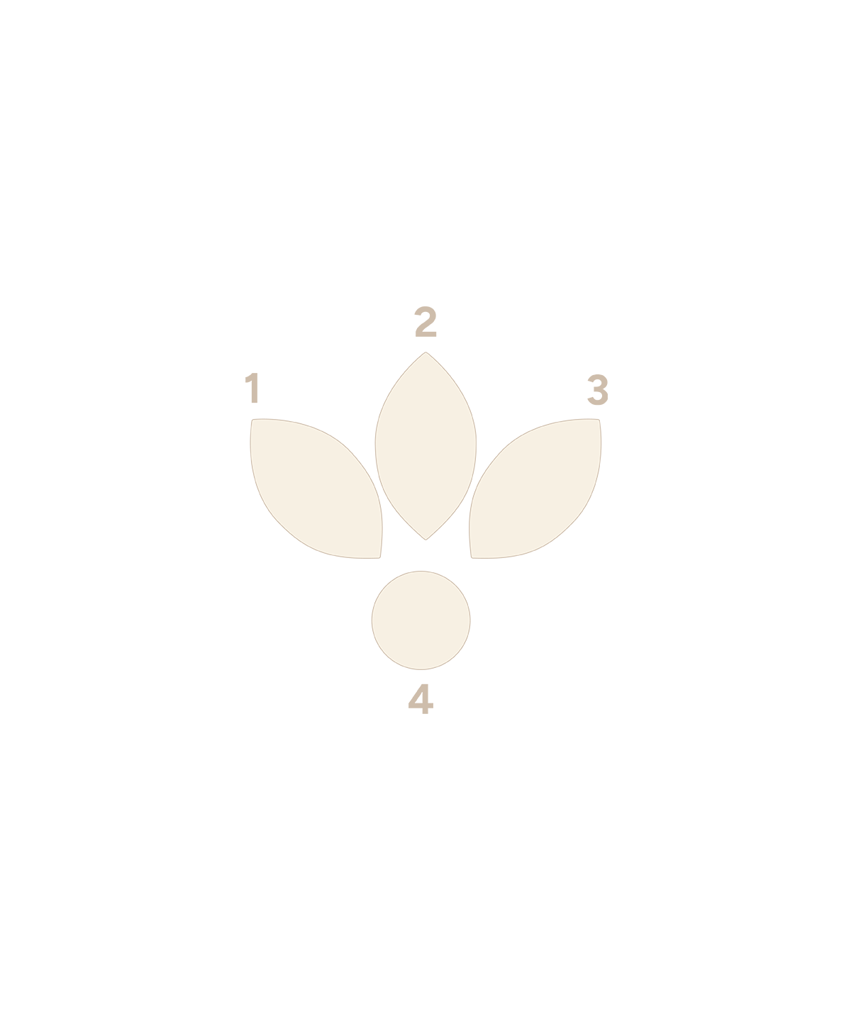 Marquise End with Accent End - 3 Stones Standard
