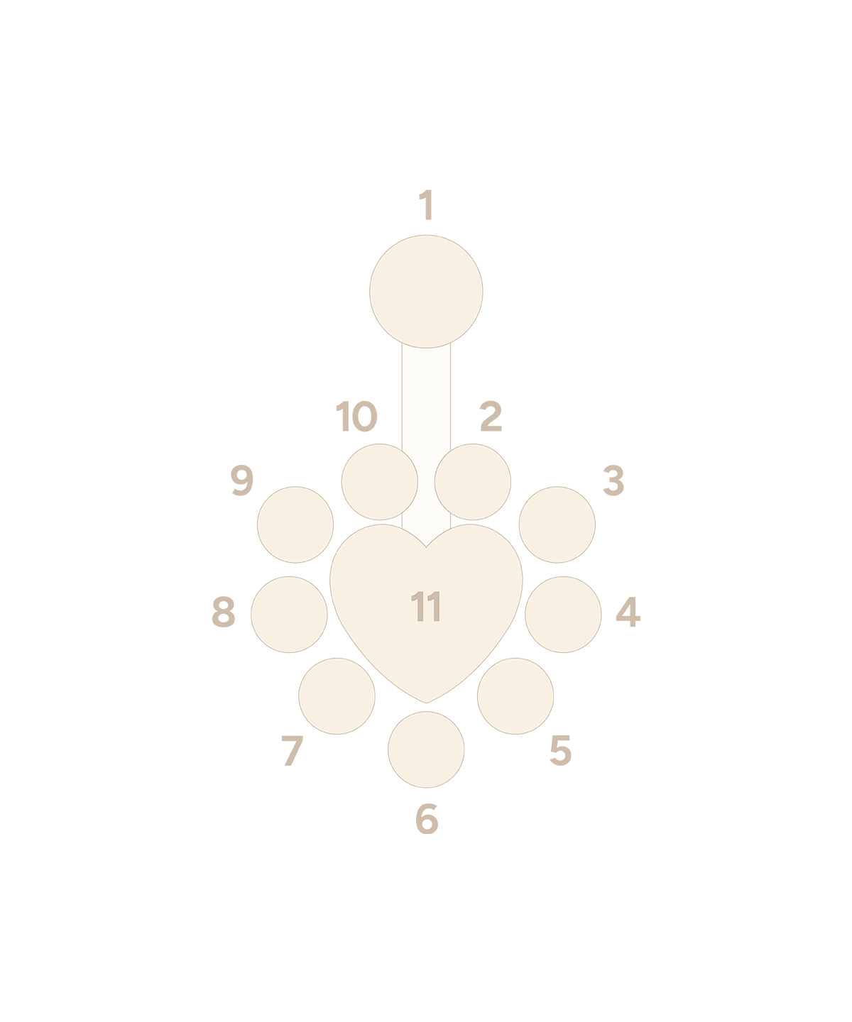 Heart Cluster J Navel Curve