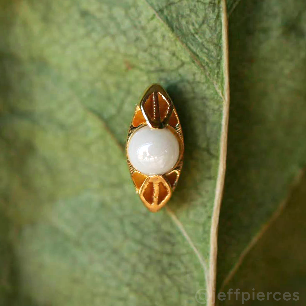 CeraPearl Cilia