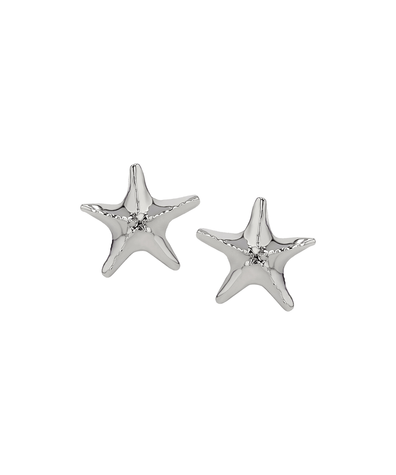 Sea Star End