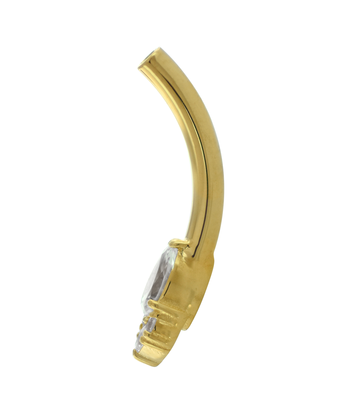 Apollo Navel Curve