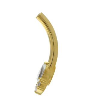 Apollo Navel Curve