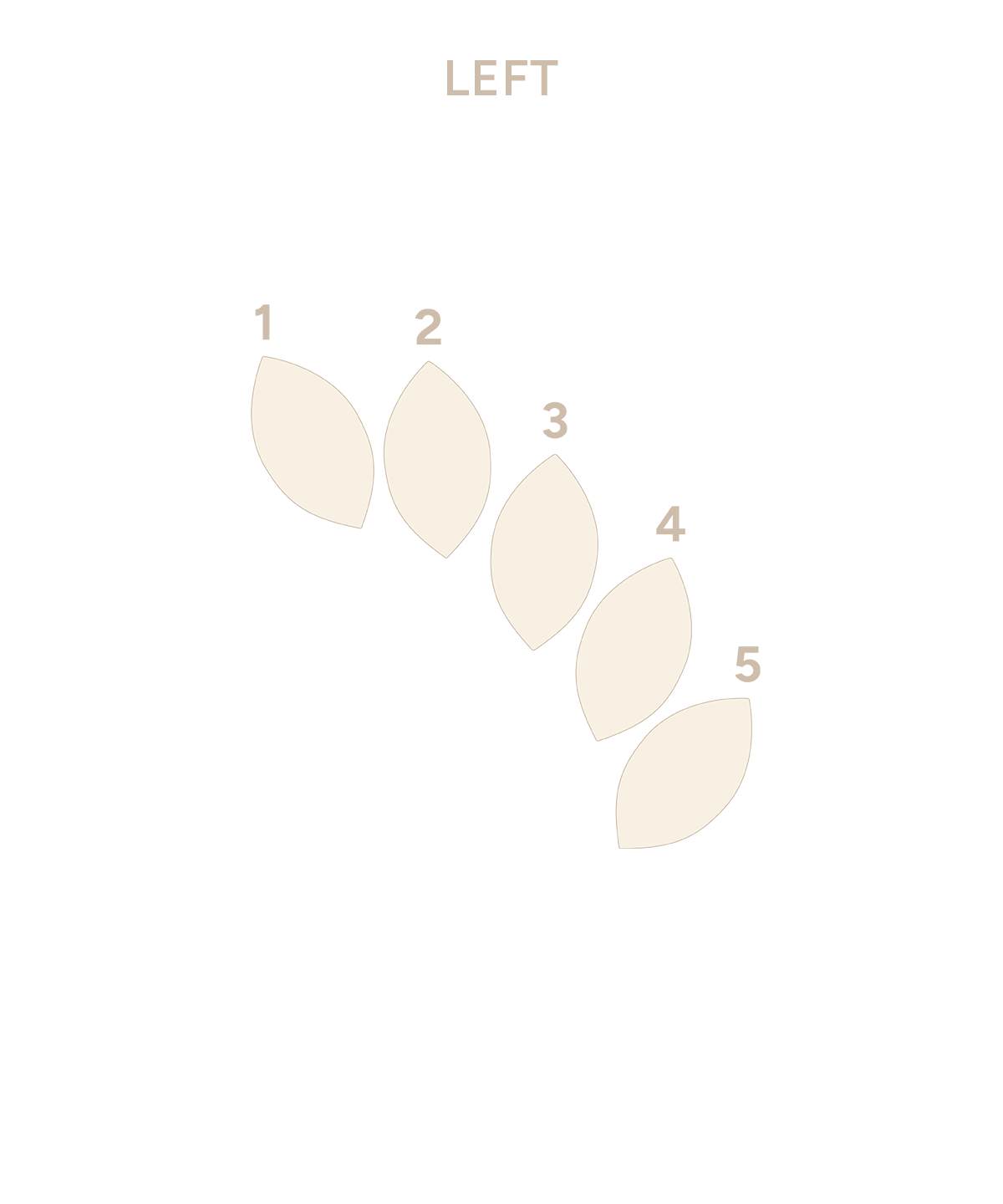 Threadless Fanfare End 5