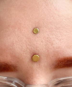 Threadless Disk End - Gold