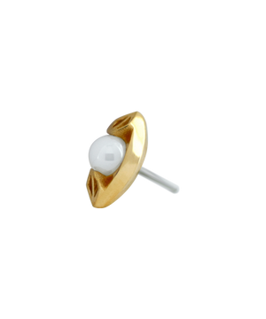 CeraPearl Cilia