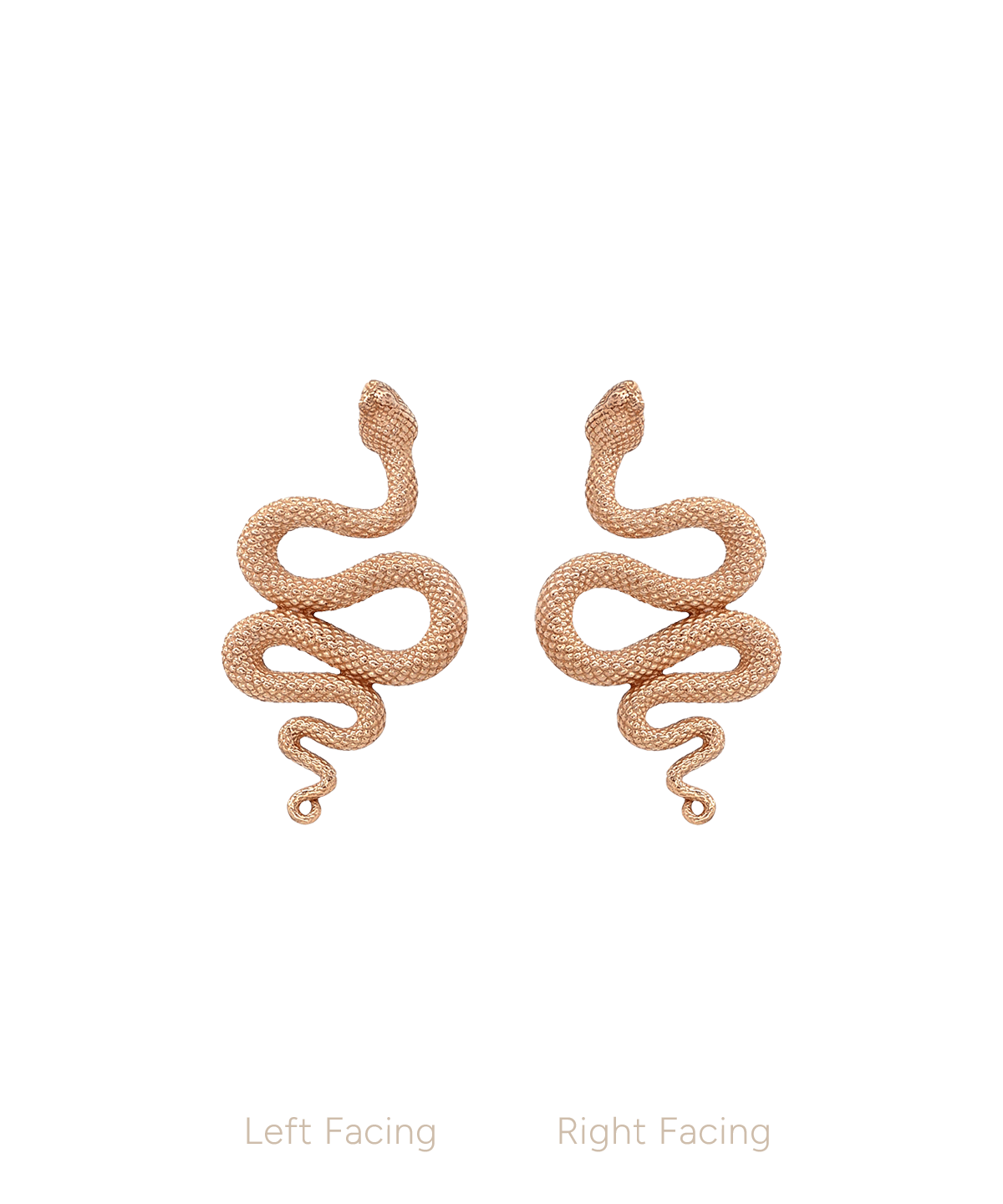 Snake End