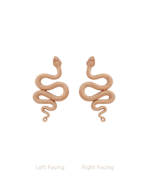 Snake End