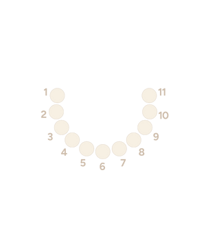 Gemmed Clicker - Front Facing