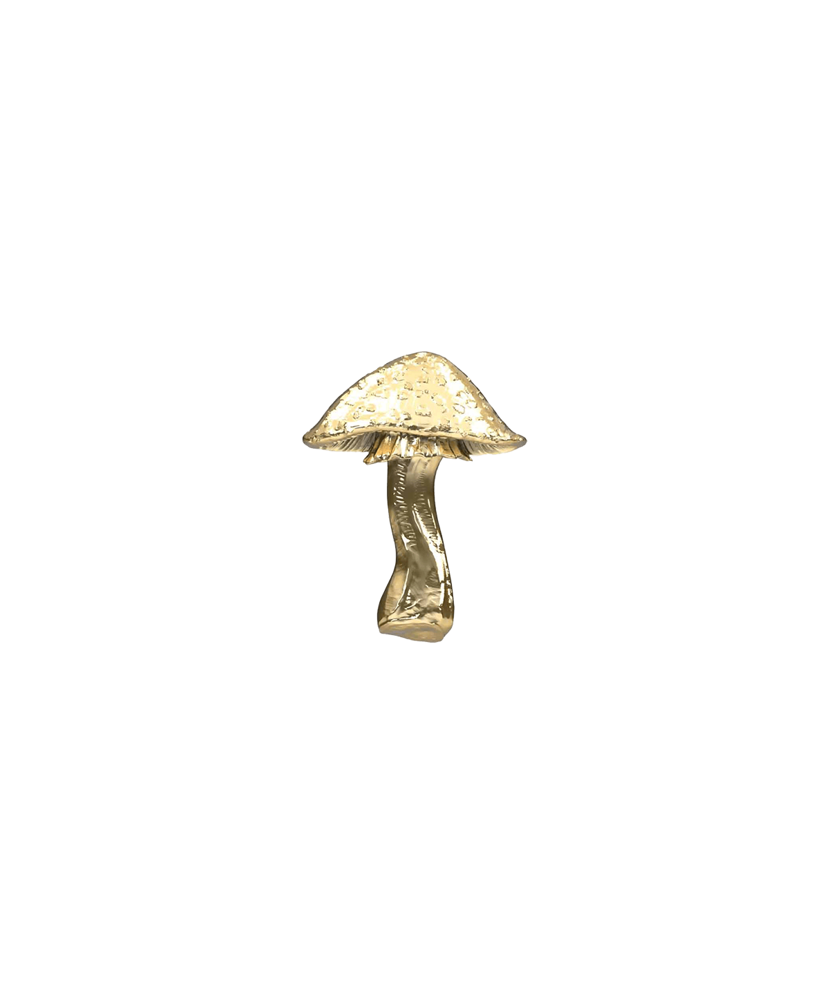 Mushroom 04 End