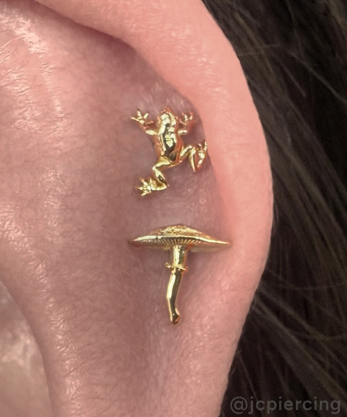 Mushroom 06 and Tree Frog Ends in helix piercings