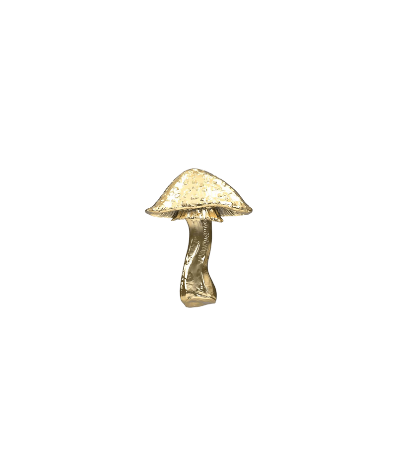 Mushroom 04 Ends