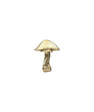 Mushroom 04 Ends