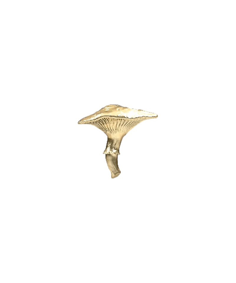 Mushroom 05 End