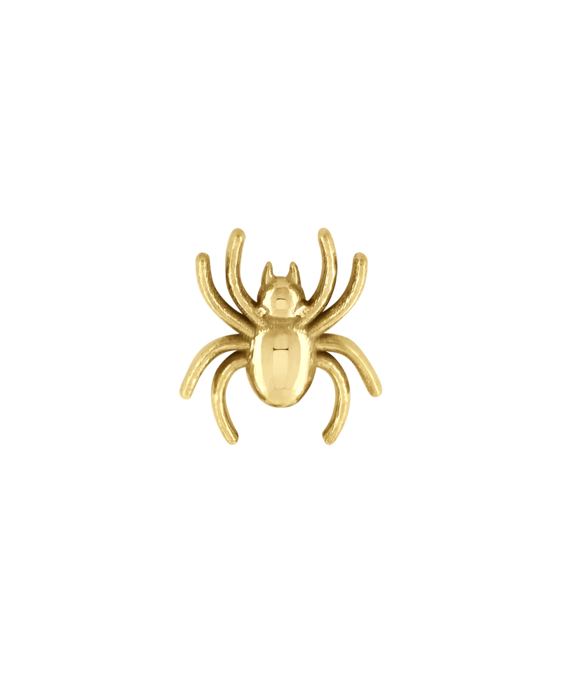 Spider End