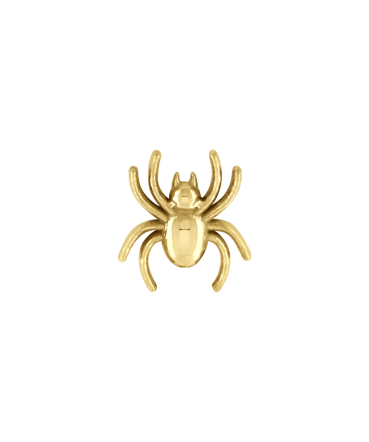 Spider End