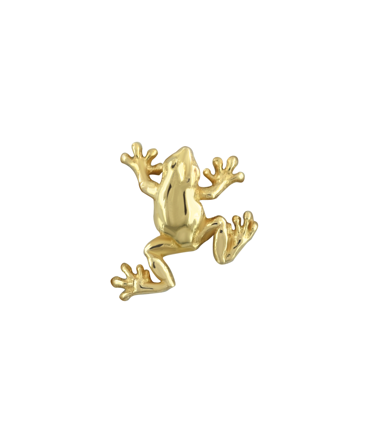 Threadless Tree Frog End