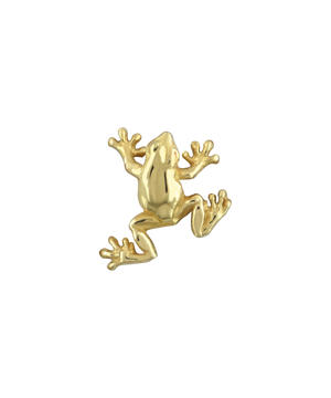 Tree Frog End