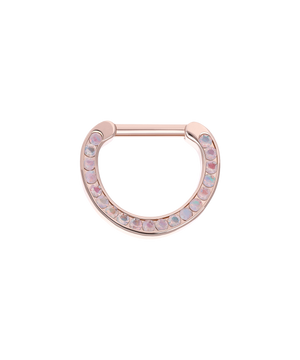 12g Hinge Ring