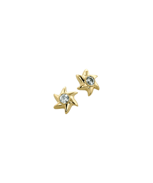 Earring Pinwheel End-6 Blade