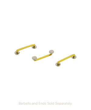 Flat Surface Barbell - Titanium - Overstock
