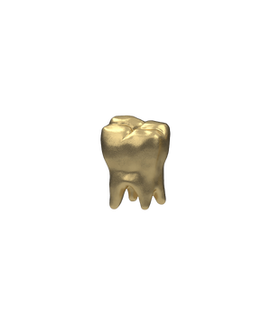 Tooth End